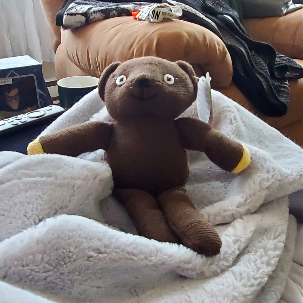 Mr.Bean's Teddy Plushie